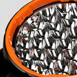 Stedi Type-X™ Sport Plus 7