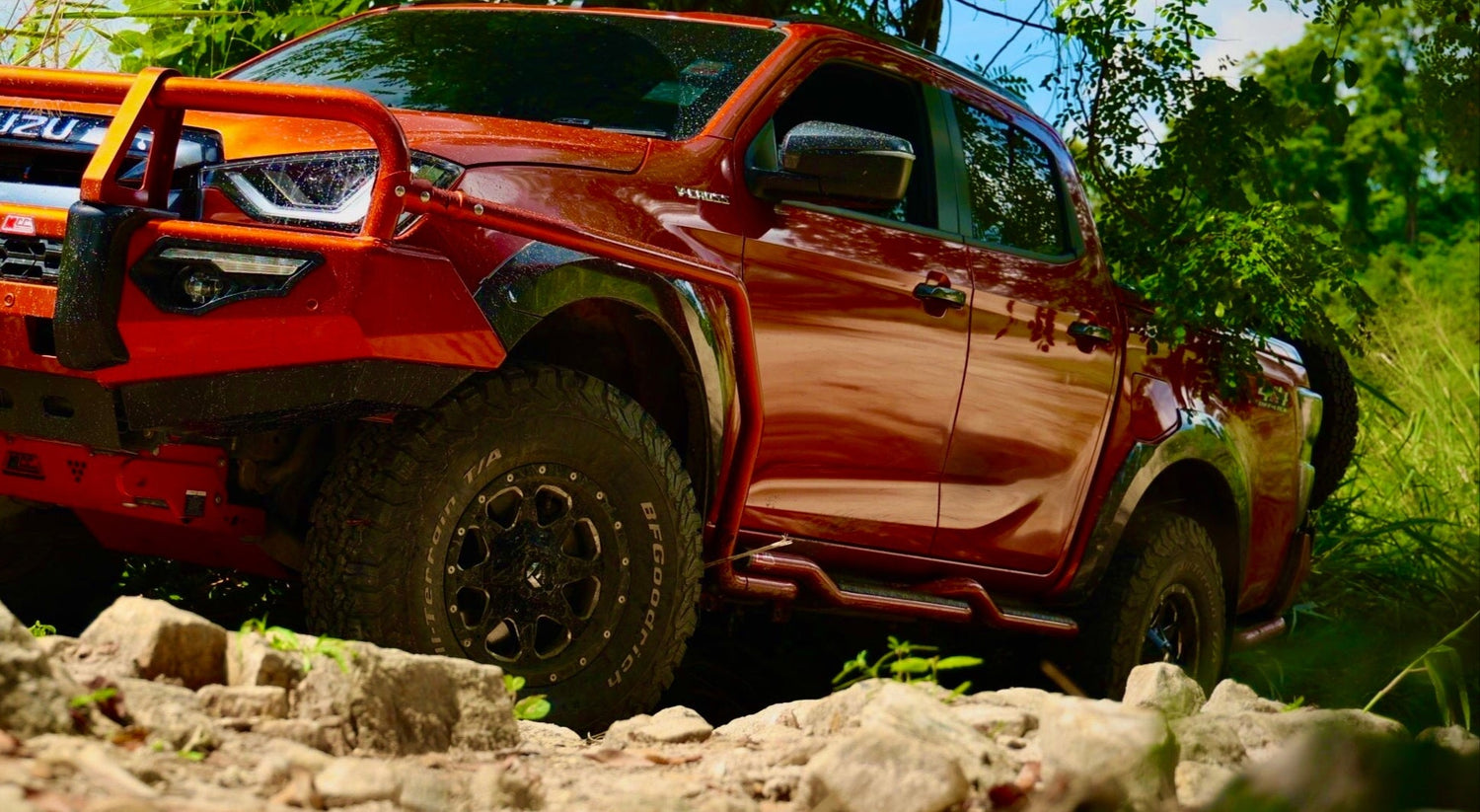 Side Steps & Side Rails